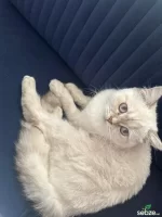 WhatsApp Image 2026-03-19 at 01.53.34 (1).webp