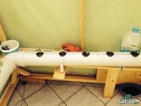 Topraksız Tarım Seram Nasıl Sizce?