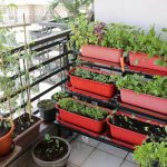 Doğal Gübreleme Rehberi: Evde Kompost Nasıl Yapılır?